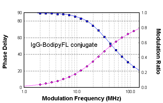 IgG-BodipyFL共轭体在水中的相位和调制