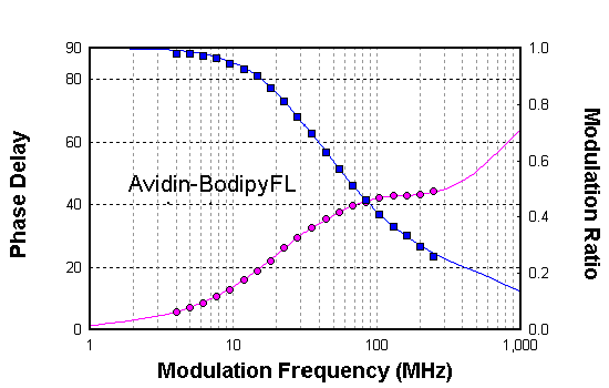 Avidin-BodipyFL共轭体在水中的相位和调制